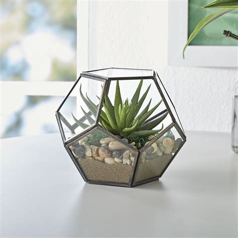 metal and glass house terrarium|glass terrarium near me.